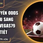 cách chuyển odds châu âu sang châu á Vegas79